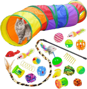 Cat Accessories- bdpetcity