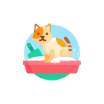 Cat Litter