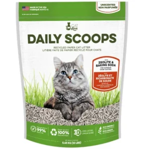 Cat Litter - bdpetcity