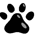 BD PET CITY