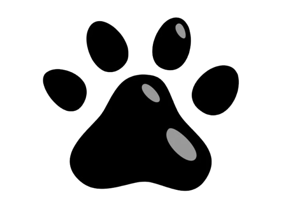 BD PET CITY