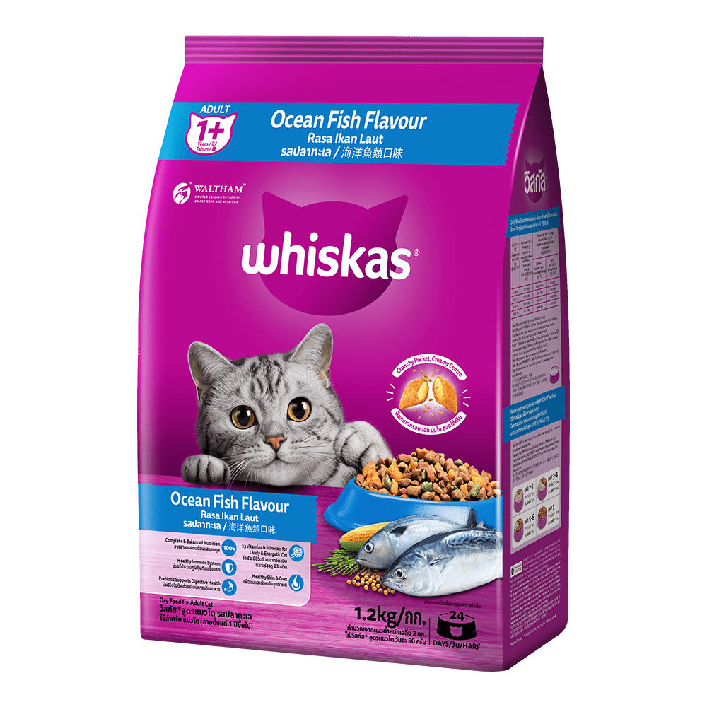 Cat Food- bdpetcity