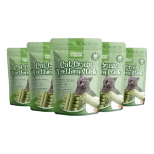 Cat Grass Teething Stick
